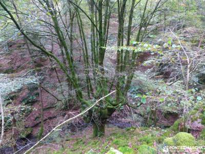 Valle del Baztán_Navarra; excursión chorreras de despeñalagua cascada de la cimbarra ruta del bor